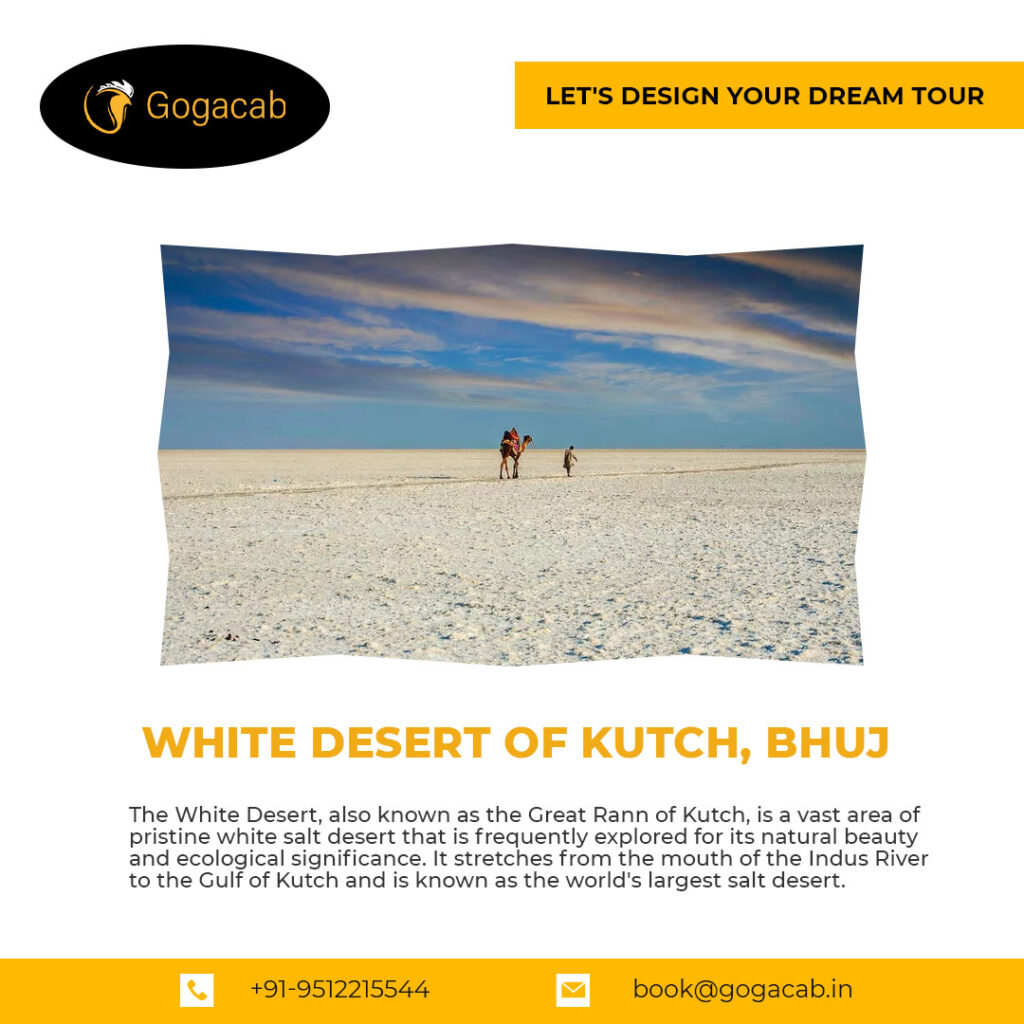white desert kutch | gogacab