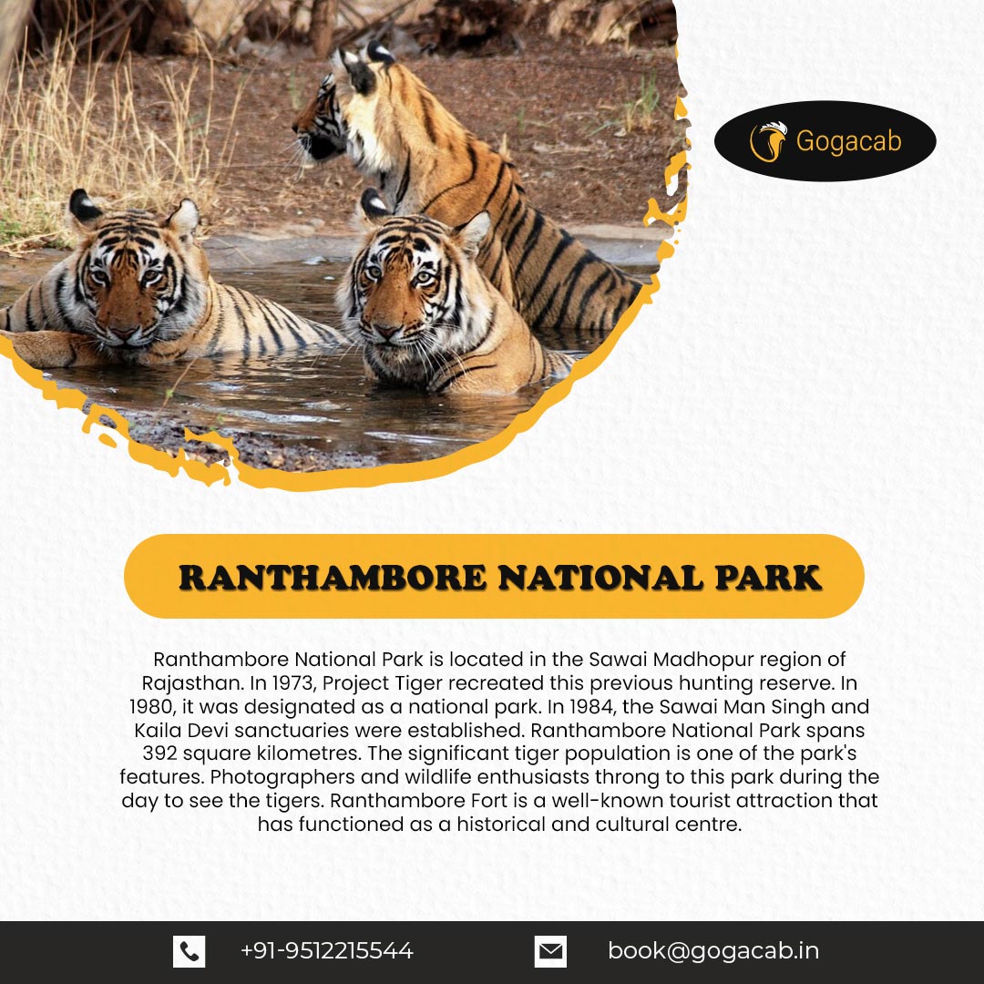 Ranthambore nationl park