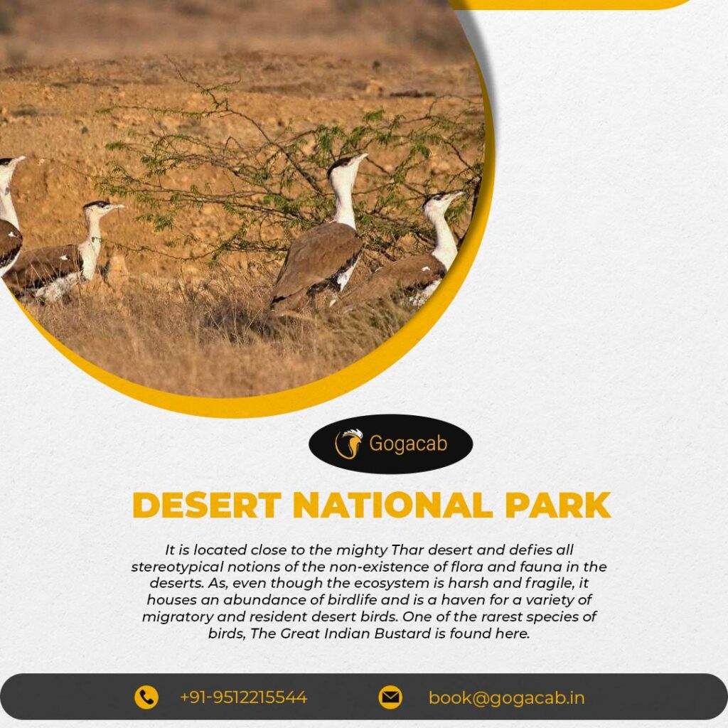 desert national park | gogacab