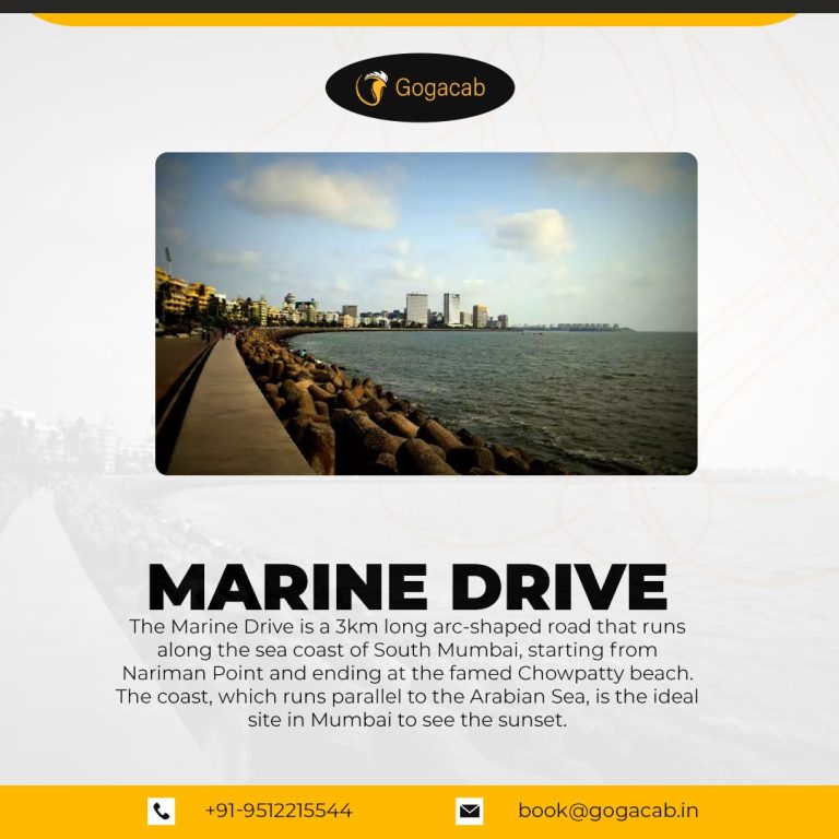 Marine drive