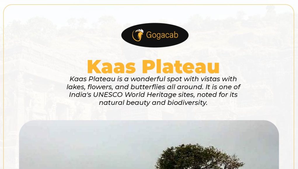 Kaas plateau | gogacab
