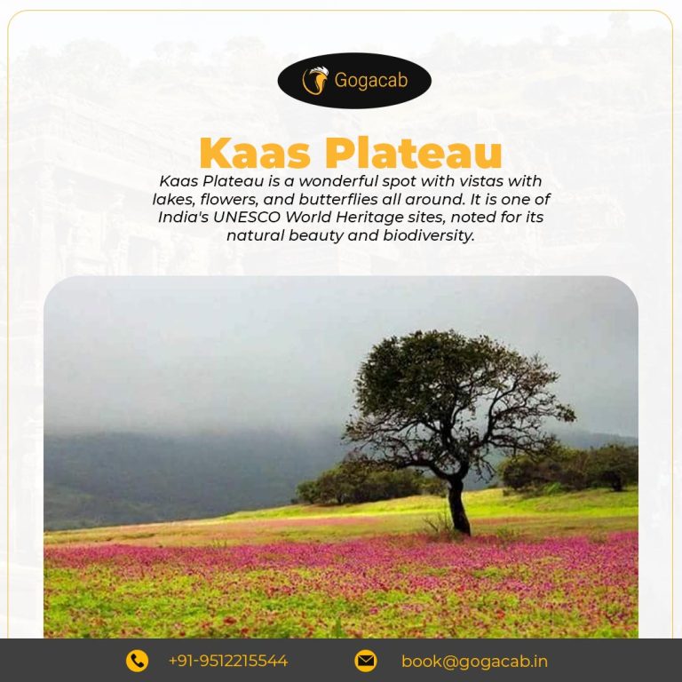 Know about Kaas plateau