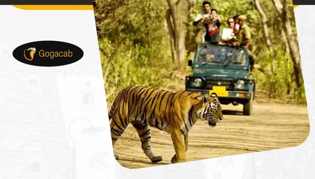The Bhimashankar wildlife sanctuary | gogacab