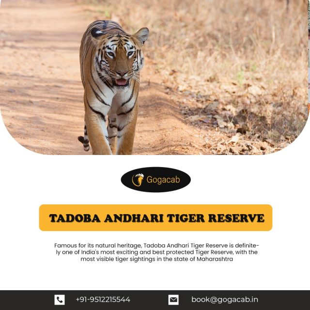 Tadoba andhari tiger reserve | gogacab