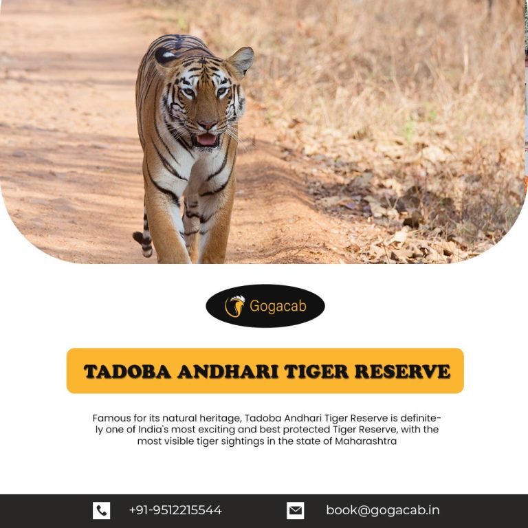 Tadoba andhari tiger reserve